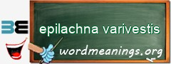 WordMeaning blackboard for epilachna varivestis